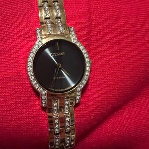 Brand new Citizen watch.